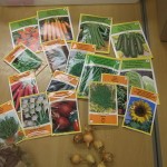 class feb 2011 056_opt