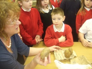 maths and allotment 017