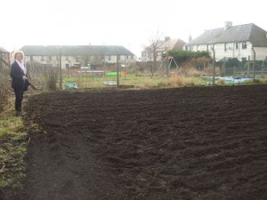 maths_and_allotment_018_opt