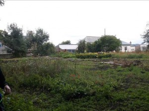 Auchterhouse1