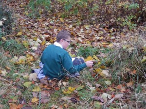 John Muir Award - FriockheimPS1