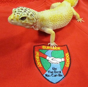 Kali - Leopard Gheko and our school badge